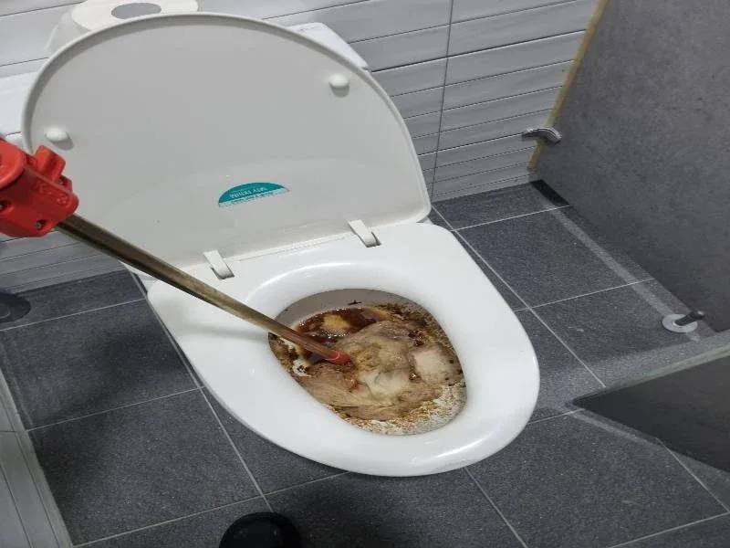 미사 물티슈를 변기에 버리면 안 되는 이유