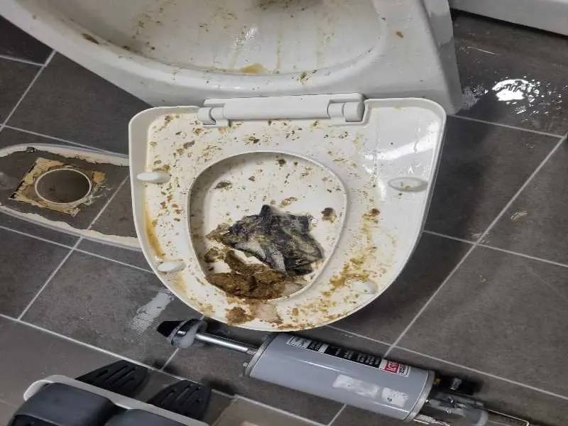 미사 변기막힘 작업사례 9